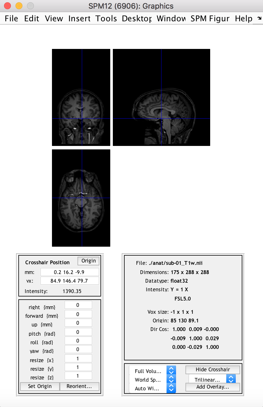 spm12 matlab 2018b gui unstable