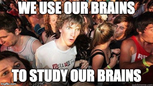brains_study_brains